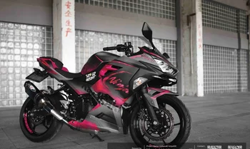 Ruilian 3M Индивидуальный комплект графических наклеек для мотоциклов Dirt Bike ГРАФИЧЕСКИЕ наклейки для KAWASAKI ninja 250 300 400